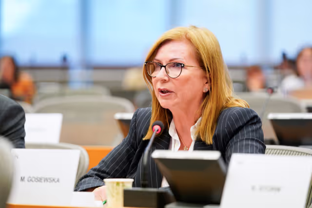 Fotografia 3: DEVE - Presentation of the priorities of the Danish Presidency of the Council