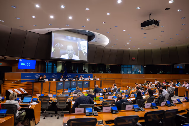 Billede 36: DEVE - Public Hearing on the Interlinkage between Migration and Development Cooperation