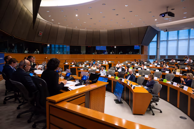 Billede 1: DEVE - Public Hearing on the Interlinkage between Migration and Development Cooperation