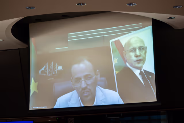 Billede 37: DEVE - Public Hearing on the Interlinkage between Migration and Development Cooperation