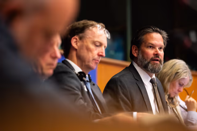 Billede 31: DEVE - Public Hearing on the Interlinkage between Migration and Development Cooperation