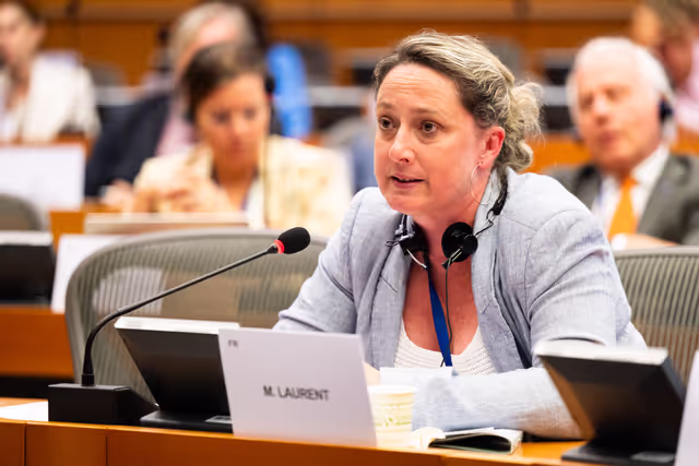 Billede 29: DEVE - Public Hearing on the Interlinkage between Migration and Development Cooperation