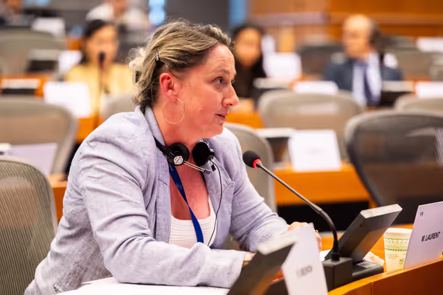 Billede 28: DEVE - Public Hearing on the Interlinkage between Migration and Development Cooperation