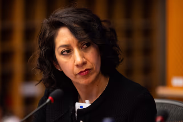 Billede 22: DEVE - Public Hearing on the Interlinkage between Migration and Development Cooperation