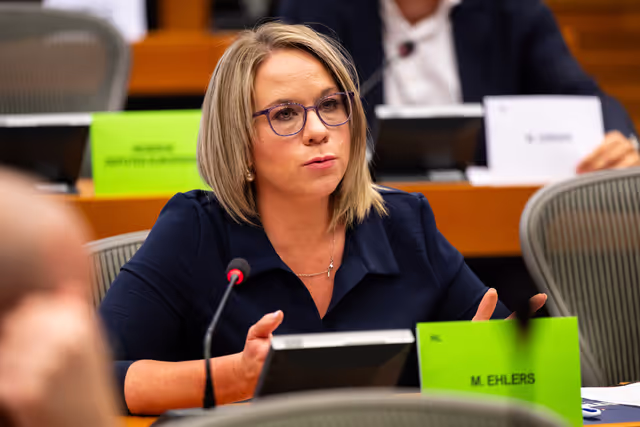 Billede 24: DEVE - Public Hearing on the Interlinkage between Migration and Development Cooperation