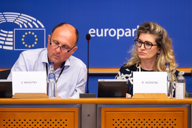 Billede 19: DEVE - Public Hearing on the Interlinkage between Migration and Development Cooperation