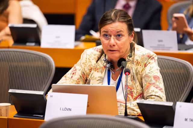 Billede 10: DEVE - Public Hearing on the Interlinkage between Migration and Development Cooperation