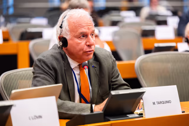 Billede 7: DEVE - Public Hearing on the Interlinkage between Migration and Development Cooperation