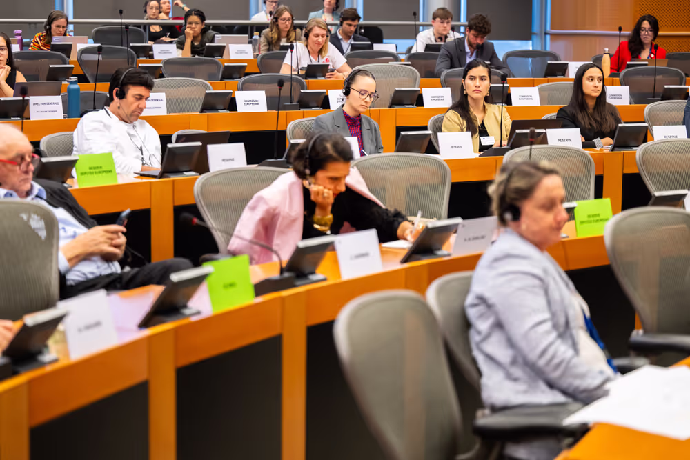 DEVE - Public Hearing on the Interlinkage between Migration and Development Cooperation