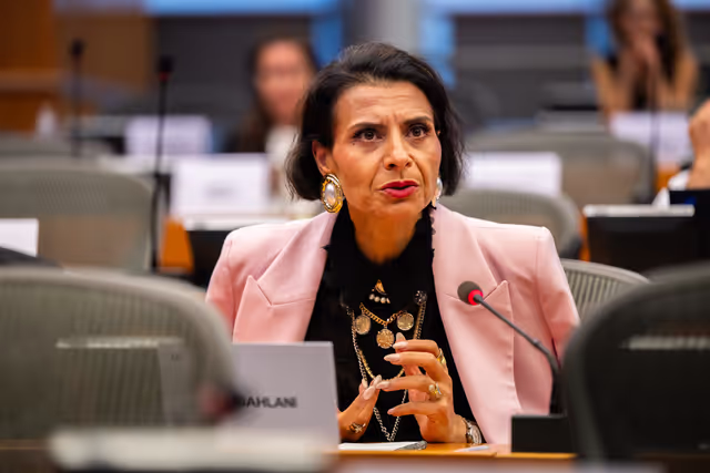 Billede 5: DEVE - Public Hearing on the Interlinkage between Migration and Development Cooperation