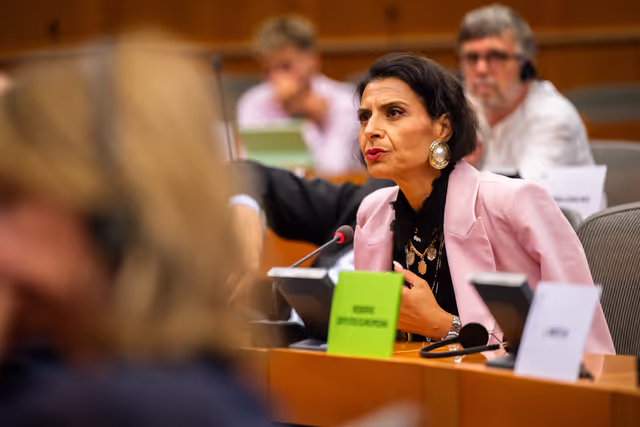 Billede 4: DEVE - Public Hearing on the Interlinkage between Migration and Development Cooperation