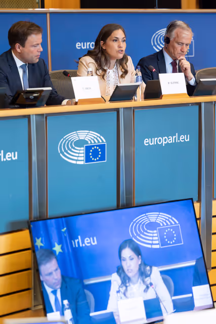 Nuotrauka 13: AFCO - Presentation of the programme of the Danish EU Council Presidency