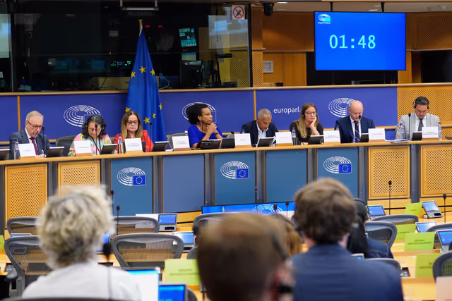 Fotografia 17: CULT - Presentation of the priorities of the Danish Presidency of the Council