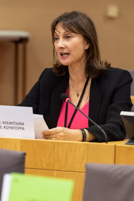 Fotografie 2: FEMM - Presentation of the priorities of the Danish Presidency of the Council