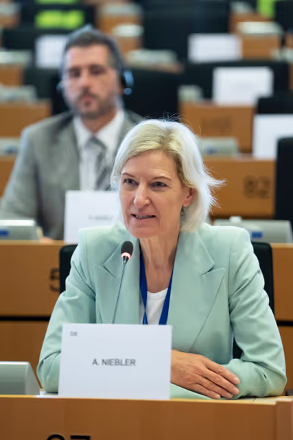 Foto 13: ITRE - Presentation of the priorities of the Danish Presidency of the Council.