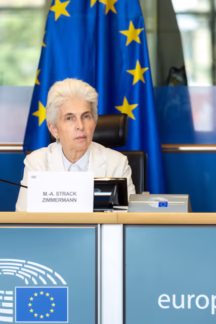 Photo 3: SEDE - Capacity building on security, defence and law-enforcement policies for the Verkhovna Rada of Ukraine