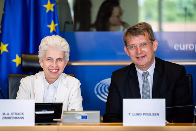 SEDE - Presentation of the priorities of the Danish Presidency of the Council