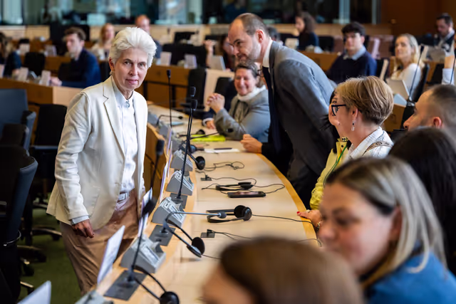 Photo 26: SEDE - Presentation of the priorities of the Danish Presidency of the Council