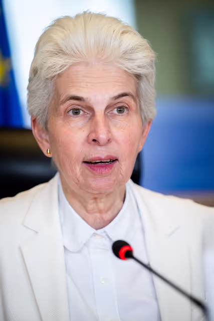 Photo 22: SEDE - Presentation of the priorities of the Danish Presidency of the Council