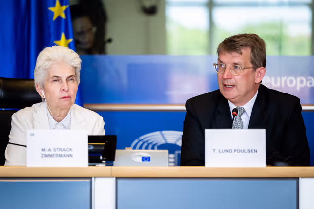 Photo 3: SEDE - Presentation of the priorities of the Danish Presidency of the Council