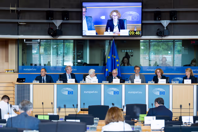 SEDE AFET - Exchange of views with Radmila Shekerinska, NATO Deputy Secretary General