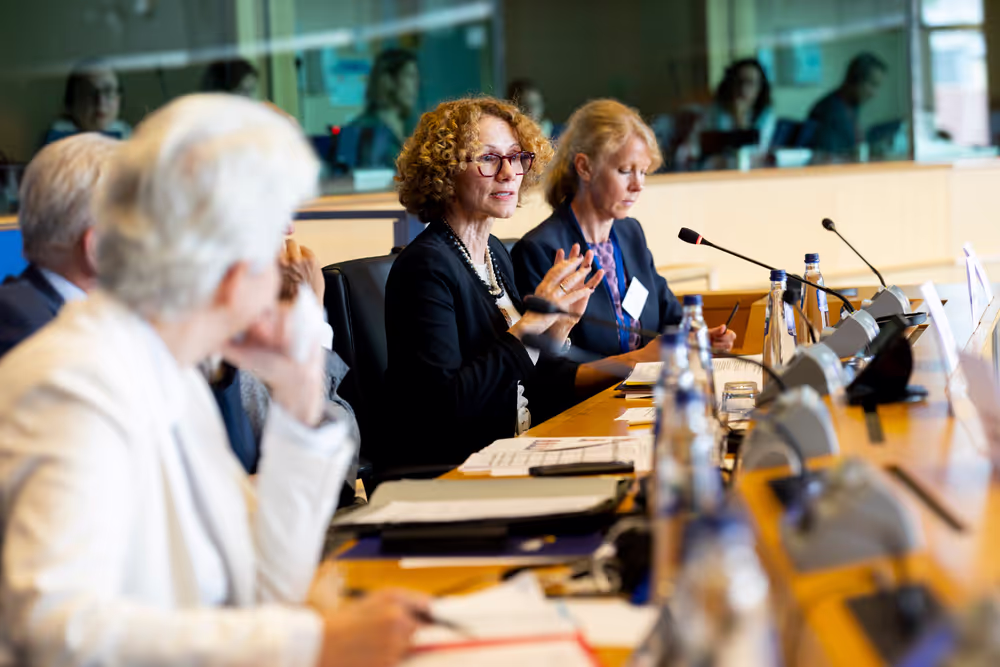 SEDE AFET - Exchange of views with Radmila Shekerinska, NATO Deputy Secretary General