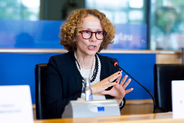 Fotogrāfija 3: SEDE AFET - Exchange of views with Radmila Shekerinska, NATO Deputy Secretary General