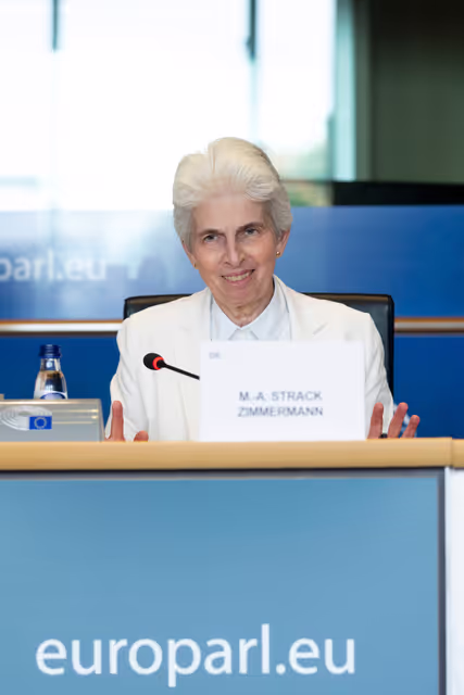 Fotogrāfija 32: SEDE AFET - Exchange of views with Radmila Shekerinska, NATO Deputy Secretary General