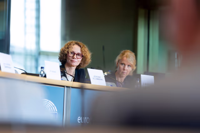 Fotogrāfija 19: SEDE AFET - Exchange of views with Radmila Shekerinska, NATO Deputy Secretary General