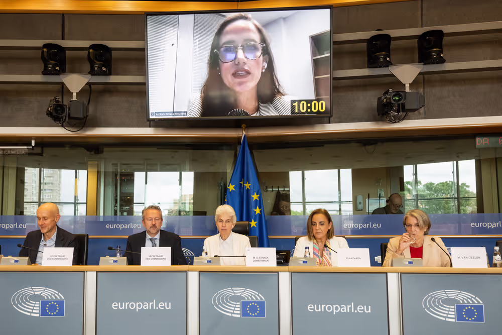 SEDE - The Security and Defence dimension of space and the EU's Space Act