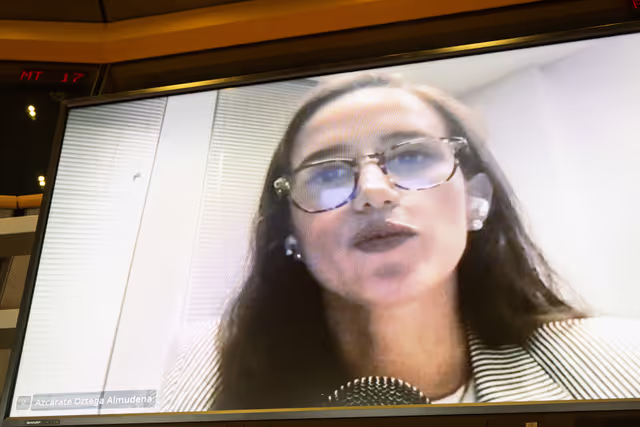 Suriet 20: SEDE - The Security and Defence dimension of space and the EU's Space Act