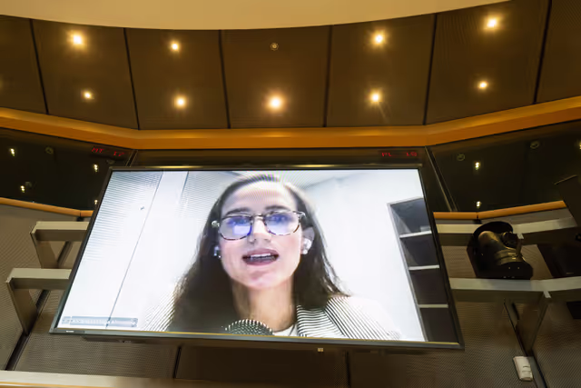 Suriet 19: SEDE - The Security and Defence dimension of space and the EU's Space Act