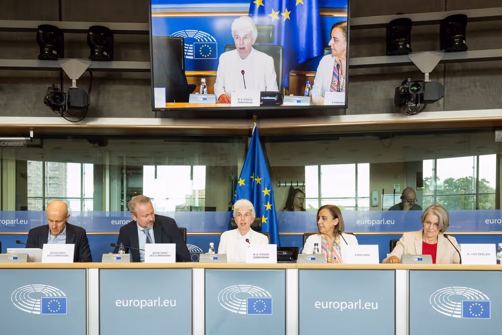 SEDE - The Security and Defence dimension of space and the EU's Space Act