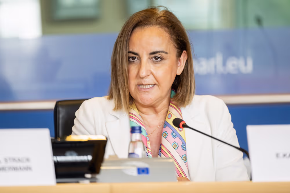 SEDE - The Security and Defence dimension of space and the EU's Space Act