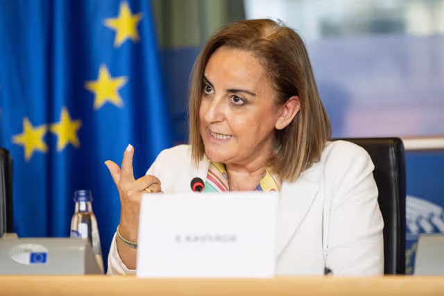 Suriet 27: SEDE - The Security and Defence dimension of space and the EU's Space Act