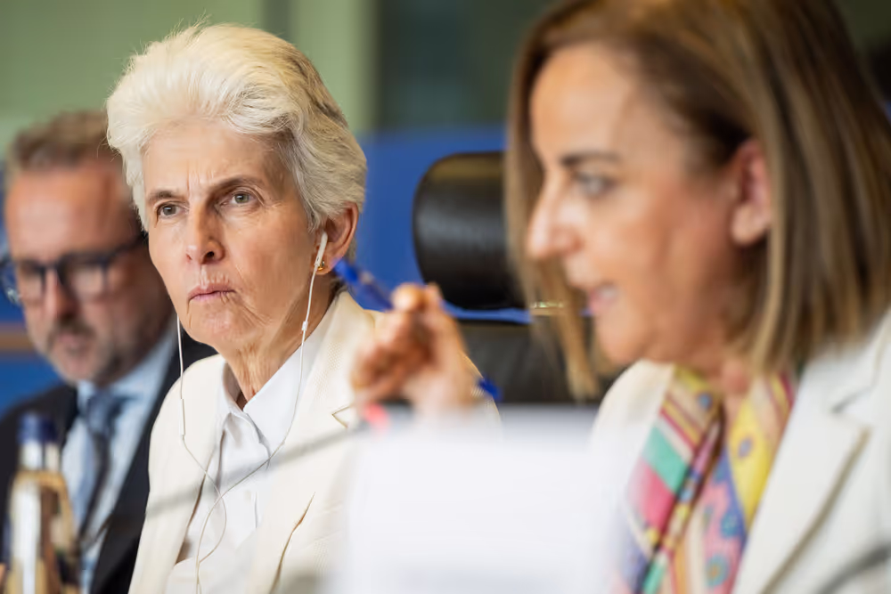 SEDE - The Security and Defence dimension of space and the EU's Space Act