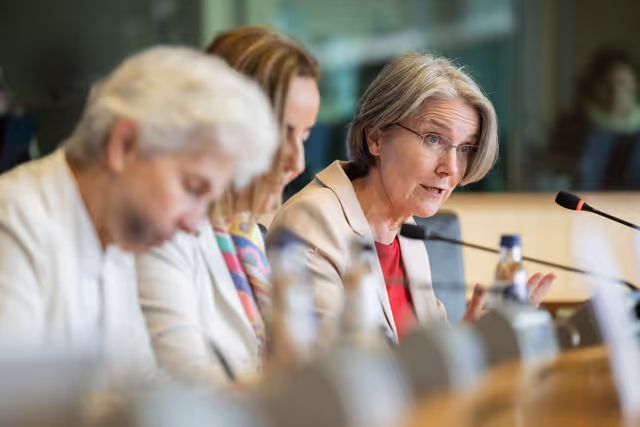 Suriet 24: SEDE - The Security and Defence dimension of space and the EU's Space Act