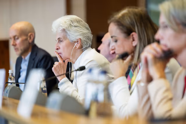 Suriet 17: SEDE - The Security and Defence dimension of space and the EU's Space Act