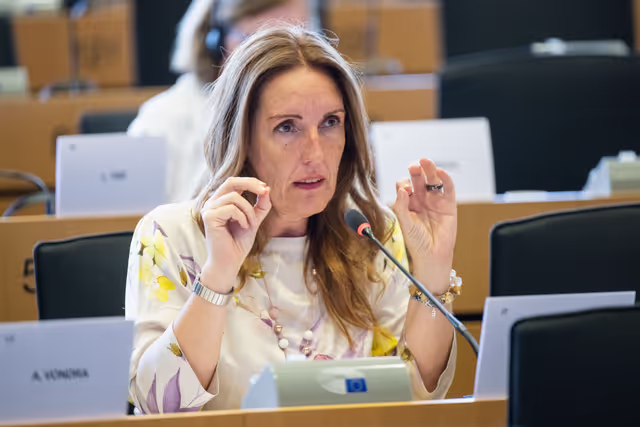 Suriet 11: SEDE - The Security and Defence dimension of space and the EU's Space Act