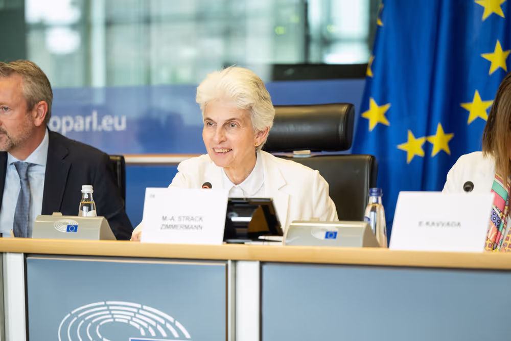 SEDE - The Security and Defence dimension of space and the EU's Space Act