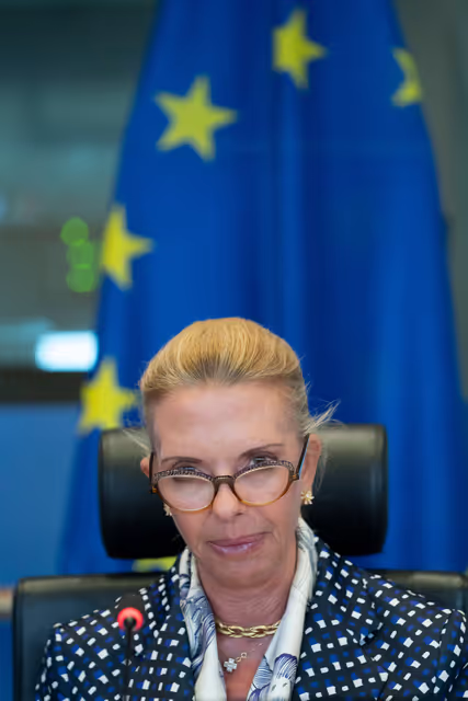 Foto 15: TRAN - Public hearing on Bureaucratic burden reduction in different transport modes