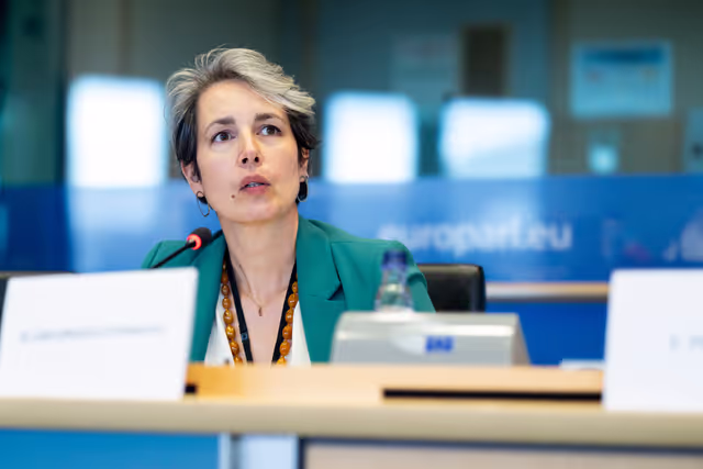 Fotografie 16: TRAN - Public hearing on Bureaucratic burden reduction in different transport modes