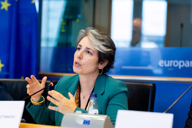 Fotografie 13: TRAN - Public hearing on Bureaucratic burden reduction in different transport modes