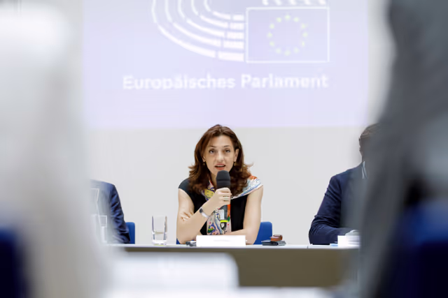 Zdjęcie 21: HOUS mission to Vienna