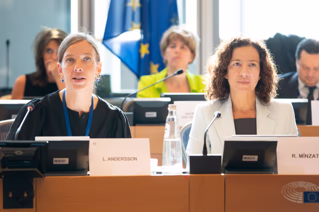 EMPL - Exchange of views with Roxana MINZATU, EC Executive Vice-President on the next MFF and the EU programmes post-2027