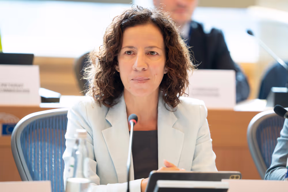 EMPL - Exchange of views with Roxana MINZATU, EC Executive Vice-President on the next MFF and the EU programmes post-2027