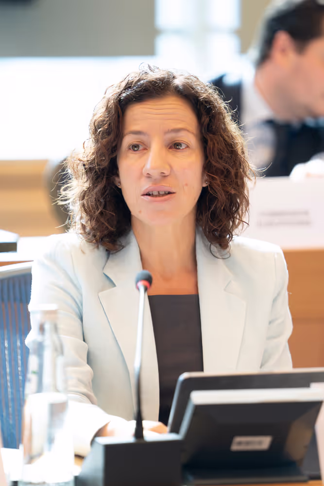 EMPL - Exchange of views with Roxana MINZATU, EC Executive Vice-President on the next MFF and the EU programmes post-2027