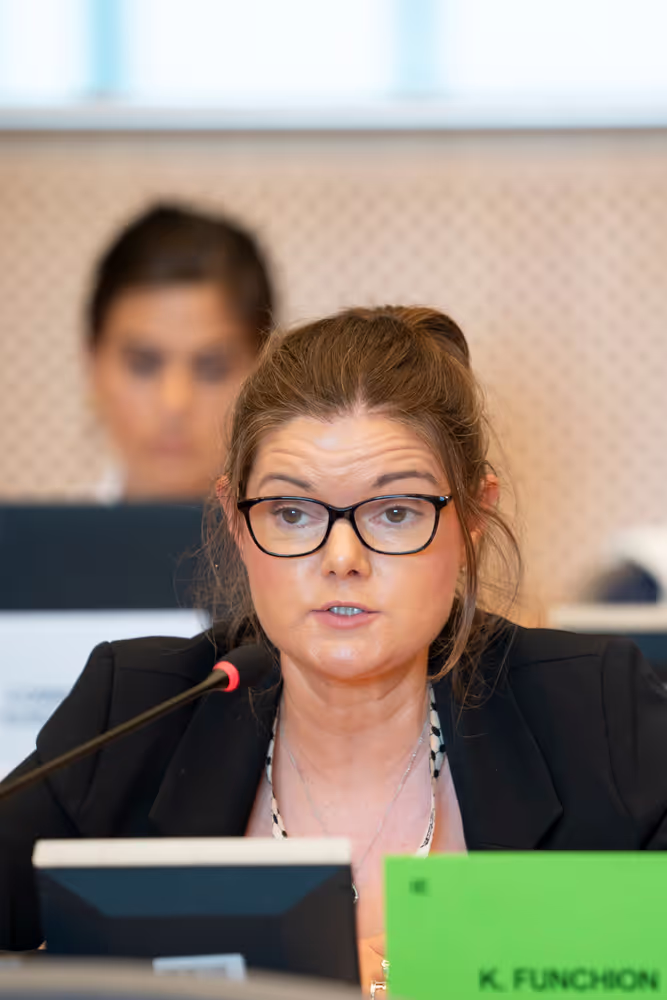 EMPL - Exchange of views with Roxana MINZATU, EC Executive Vice-President on the next MFF and the EU programmes post-2027