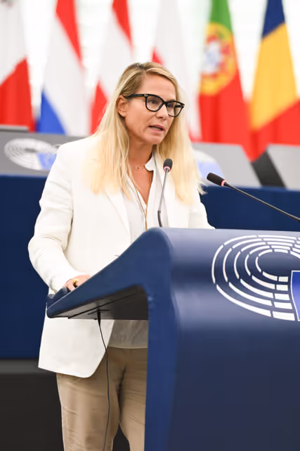 EP Plenary session - Public procurement