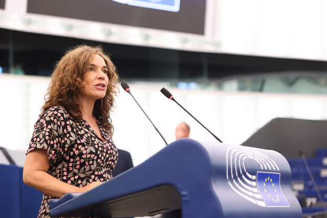 EP Plenary session - Renewal of the mandate of the Internet Governance Forum